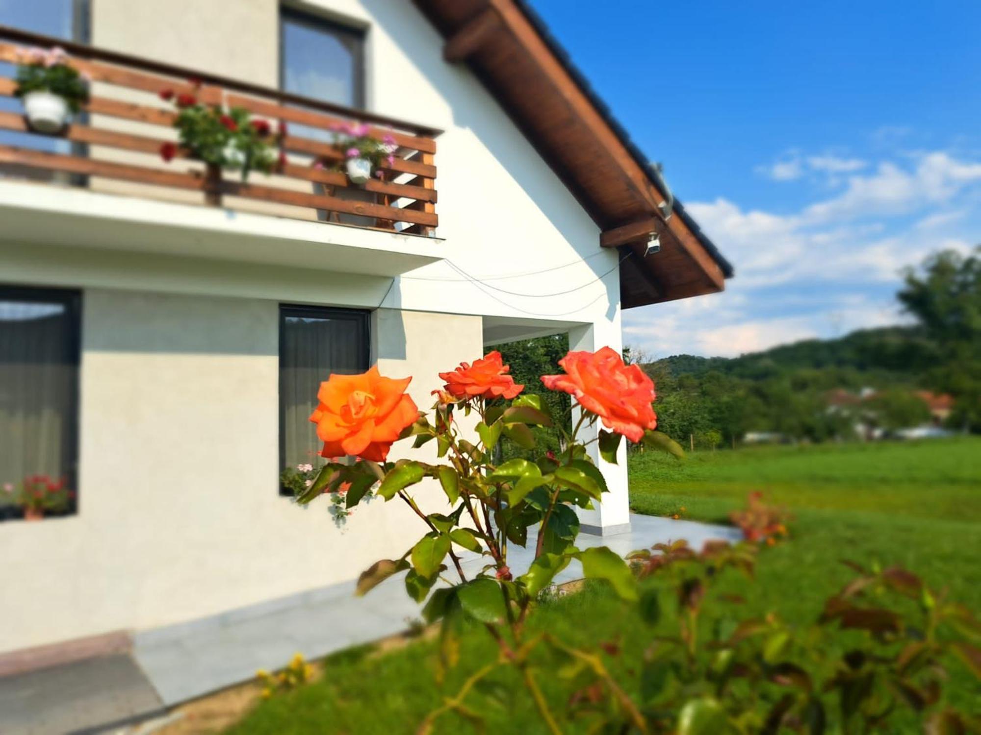 Eco Familia Hotel Pojoga Exterior photo